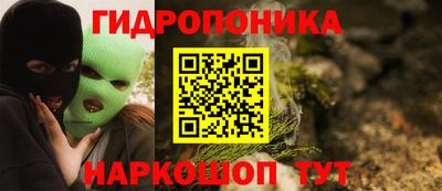 гашик Можга