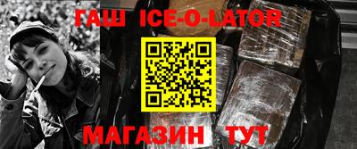 гашик Можга