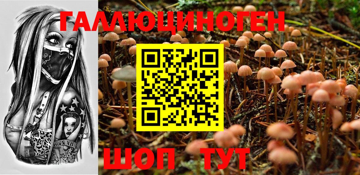 Галлюциногенные грибы Cubensis Владивосток